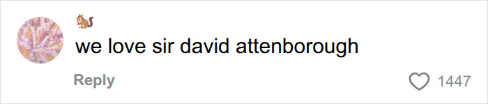 A social media comment saying "we love sir david attenborough" with a squirrel emoji and 1447 likes, celebrating his long life.