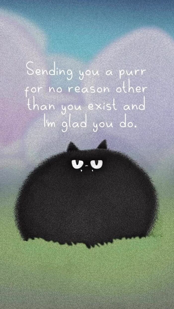 Cat Illustrations Luis Coelho
