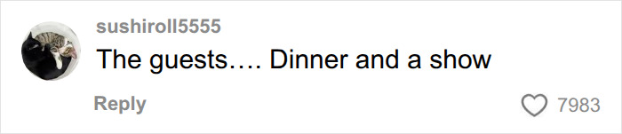 Wedding guests enjoy unexpected dinner and a show