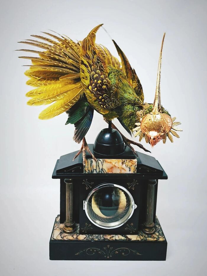 Here Are 18 Surreal Bug Fairies Made From Dead Insects Made By This Amsterdam-Based Artist
