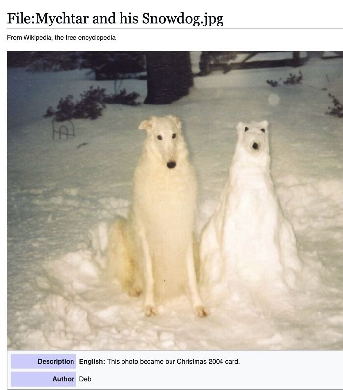 42 Animal Posts From “Depths Of Wikipedia” That Prove Nature Is Stranger Than Fiction