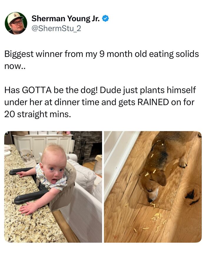 These Dog Memes Perfectly Capture The Chaos, Wholesomeness, And Pure Randomness Of Life With Dogs