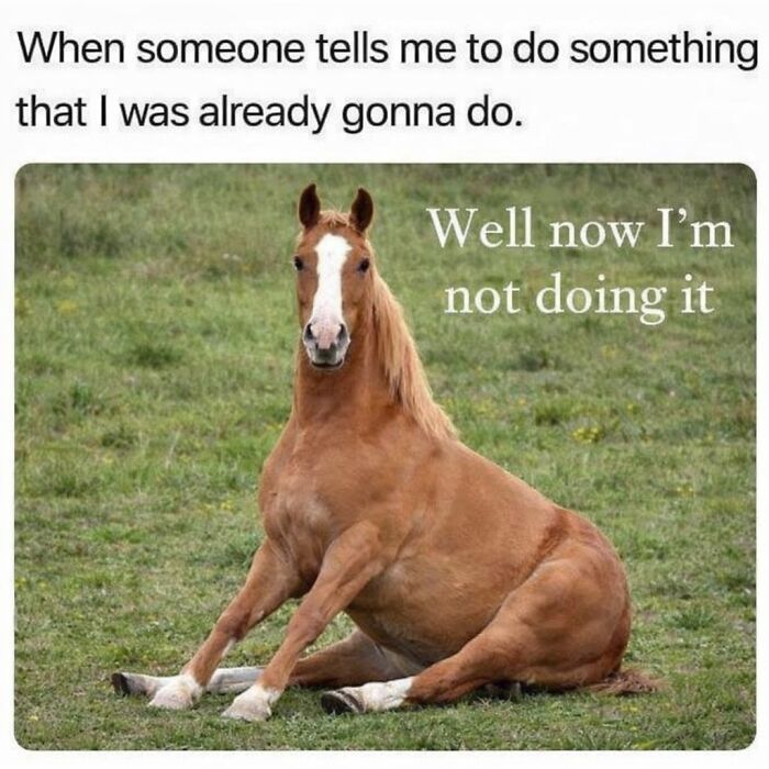 This Instagram Page With 6 Million Followers Perfectly Captures The Absurdity Of Internet Humor (60 Pics)