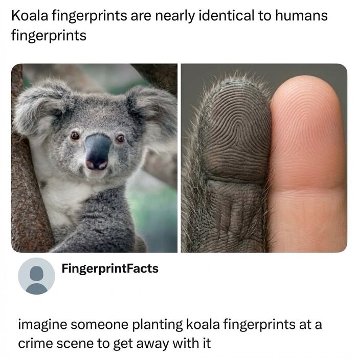 This Instagram Page With 6 Million Followers Perfectly Captures The Absurdity Of Internet Humor (60 Pics)