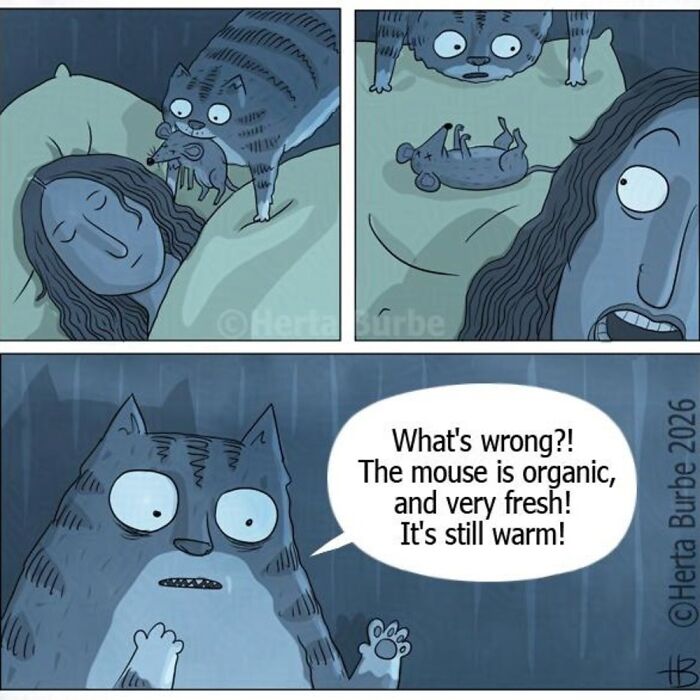 This Lithuanian Artist Turns Cats Into The Stars Of Her Tender Illustrated Stories (50 Pics)
