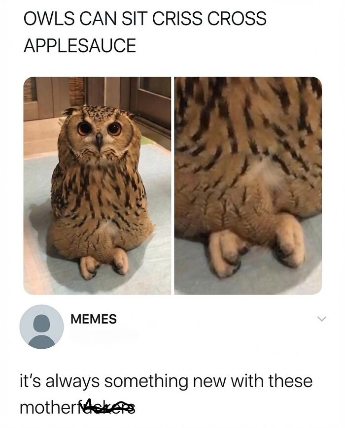 This Instagram Page With 6 Million Followers Perfectly Captures The Absurdity Of Internet Humor (60 Pics)