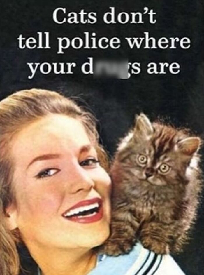 This Instagram Page Proves Vintage Women Would’ve Absolutely Ruled The Internet With Sarcasm (30 Pics)