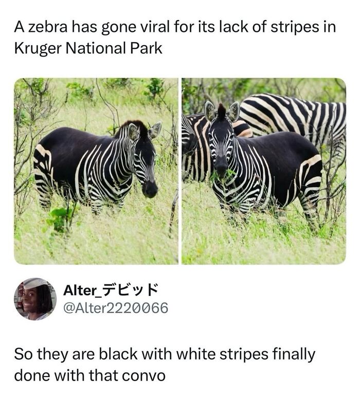 This Instagram Page With 6 Million Followers Perfectly Captures The Absurdity Of Internet Humor (60 Pics)