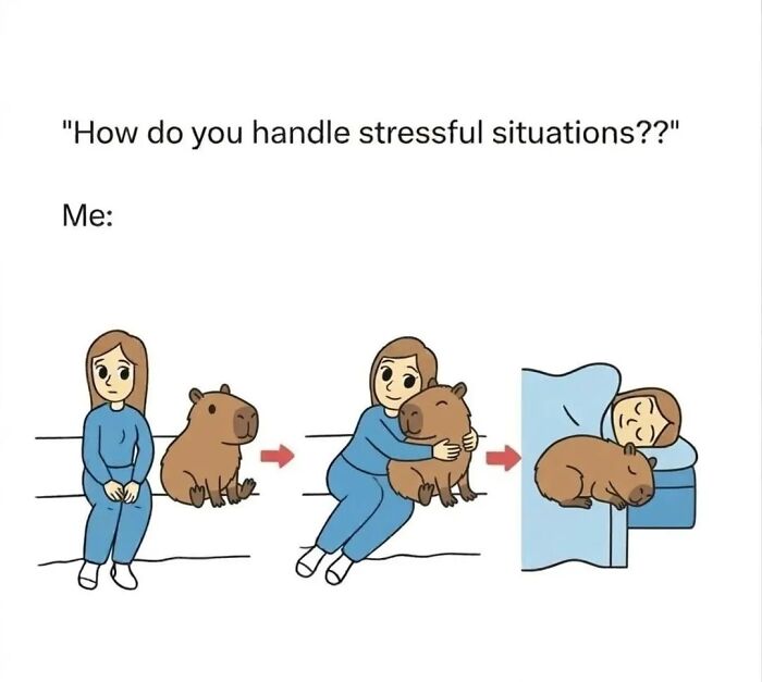 40 Funny And Wholesome Capybara Memes That Perfectly Capture The Internet’s Obsession With These Chill Animals