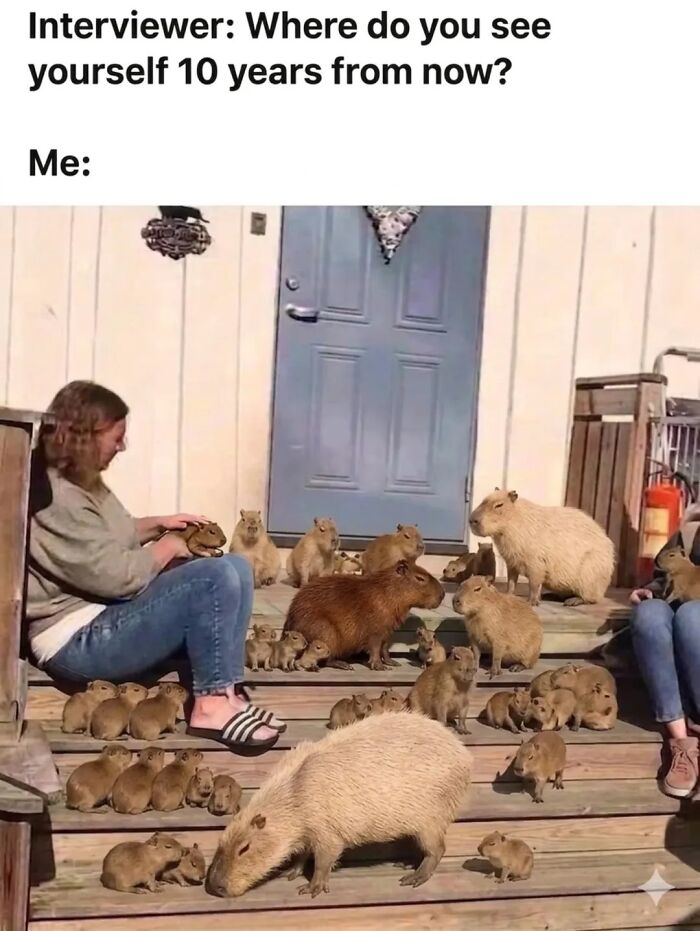 40 Funny And Wholesome Capybara Memes That Perfectly Capture The Internet’s Obsession With These Chill Animals