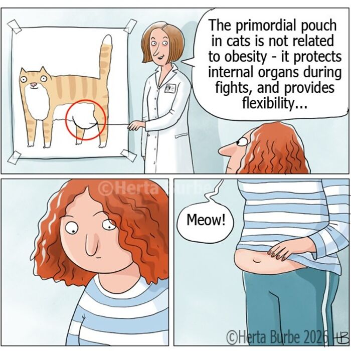 This Lithuanian Artist Turns Cats Into The Stars Of Her Tender Illustrated Stories (50 Pics)