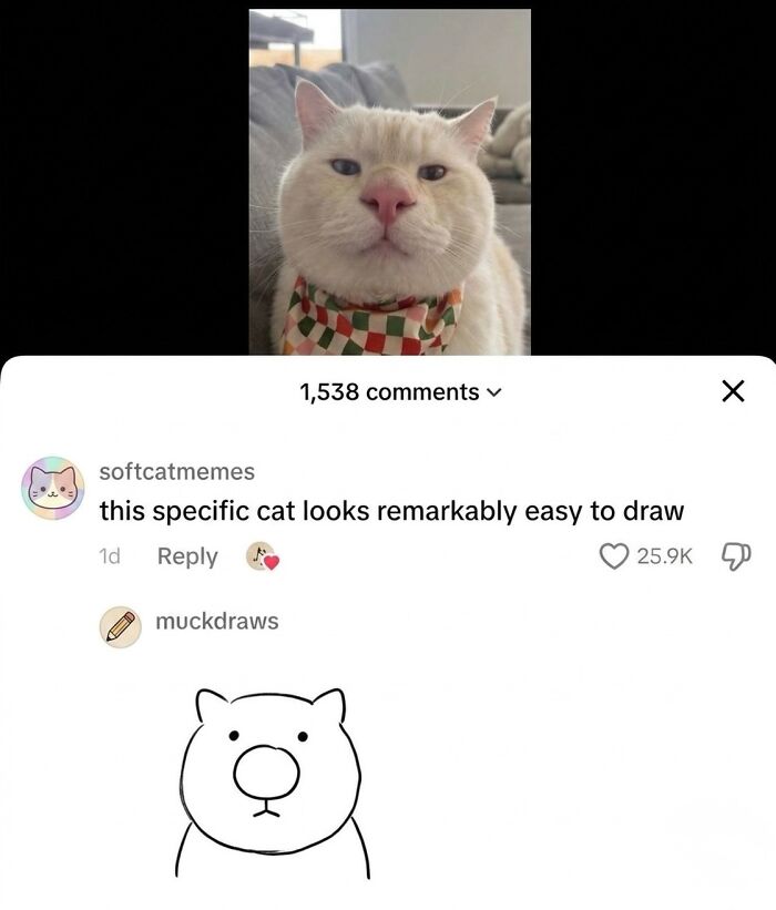 This Page With Over 3 Million Followers Shares The Funniest Cat Memes That Instantly Boost Your Mood (50 Pics)