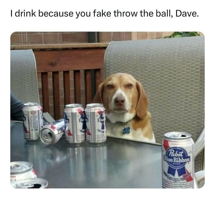 These Dog Memes Perfectly Capture The Chaos, Wholesomeness, And Pure Randomness Of Life With Dogs