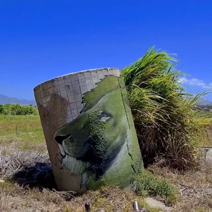 This Page With Nearly 5 Million Followers Shows What Happens When Street Artists Let Nature Finish Their Work (30 Pics)