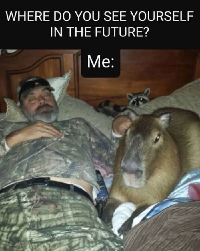 40 Funny And Wholesome Capybara Memes That Perfectly Capture The Internet’s Obsession With These Chill Animals