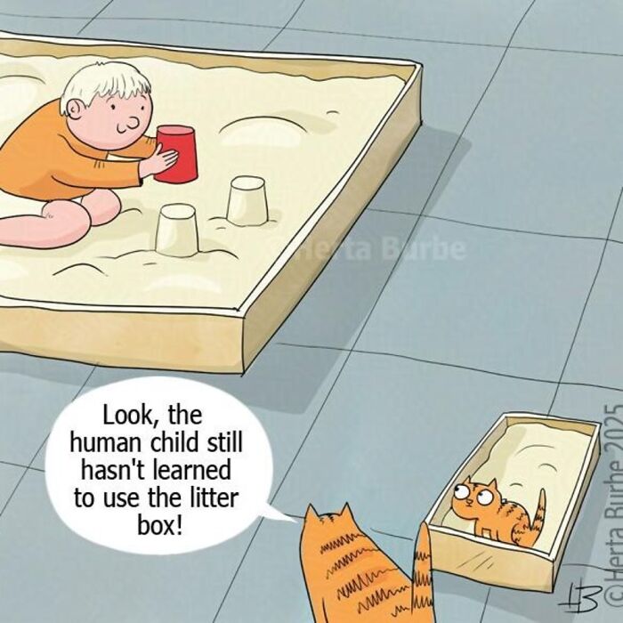 This Lithuanian Artist Turns Cats Into The Stars Of Her Tender Illustrated Stories (50 Pics)