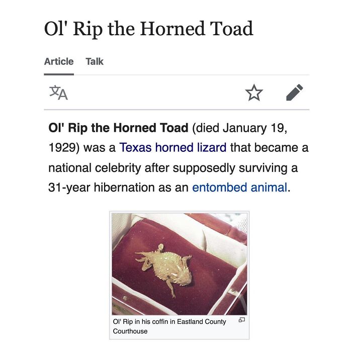 42 Animal Posts From “Depths Of Wikipedia” That Prove Nature Is Stranger Than Fiction
