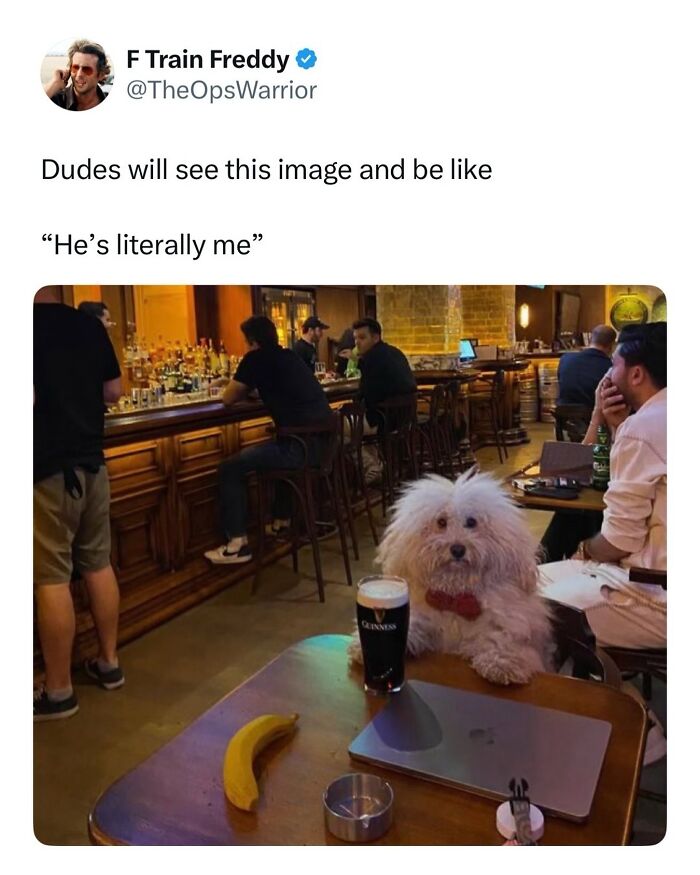 These Dog Memes Perfectly Capture The Chaos, Wholesomeness, And Pure Randomness Of Life With Dogs