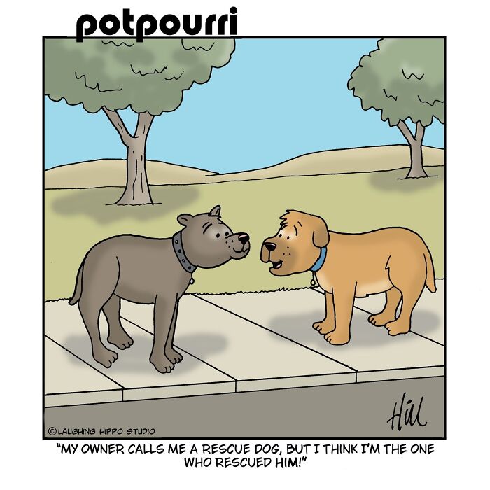 This Artist’s Dog Comics Perfectly Capture The Chaotic Joy Of Having A Pup (40 Pics)