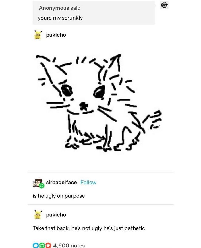 50 Cat Memes That Feel Like They Were Created By Sleep Deprived Internet Geniuses