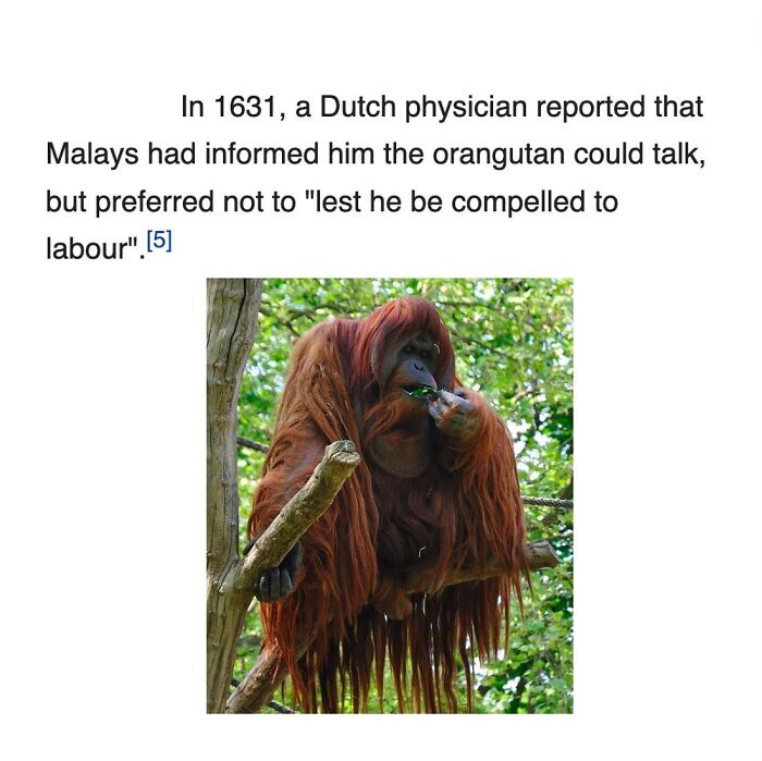 42 Animal Posts From “Depths Of Wikipedia” That Prove Nature Is Stranger Than Fiction