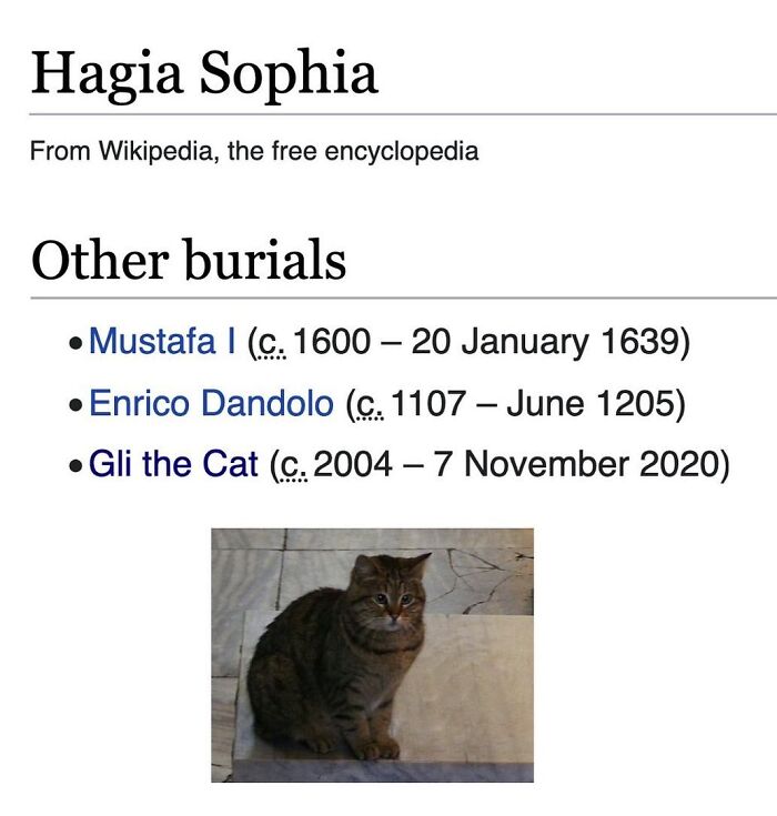 42 Animal Posts From “Depths Of Wikipedia” That Prove Nature Is Stranger Than Fiction