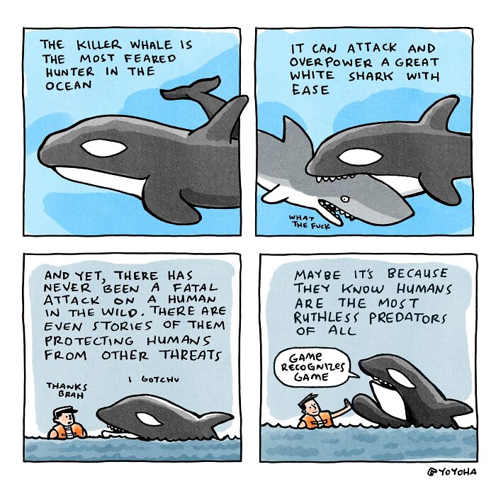 Artist Josh Hara Turns Everyday Thoughts Into Hilarious Comics That Perfectly Capture Modern Life (27 New Pics)