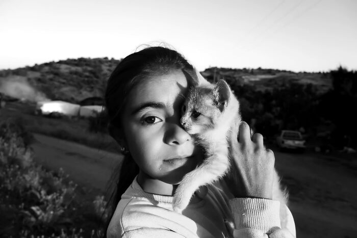 These Beautiful Cat Photos Capture Quiet Moments Most People Walk Past (37 Pics)