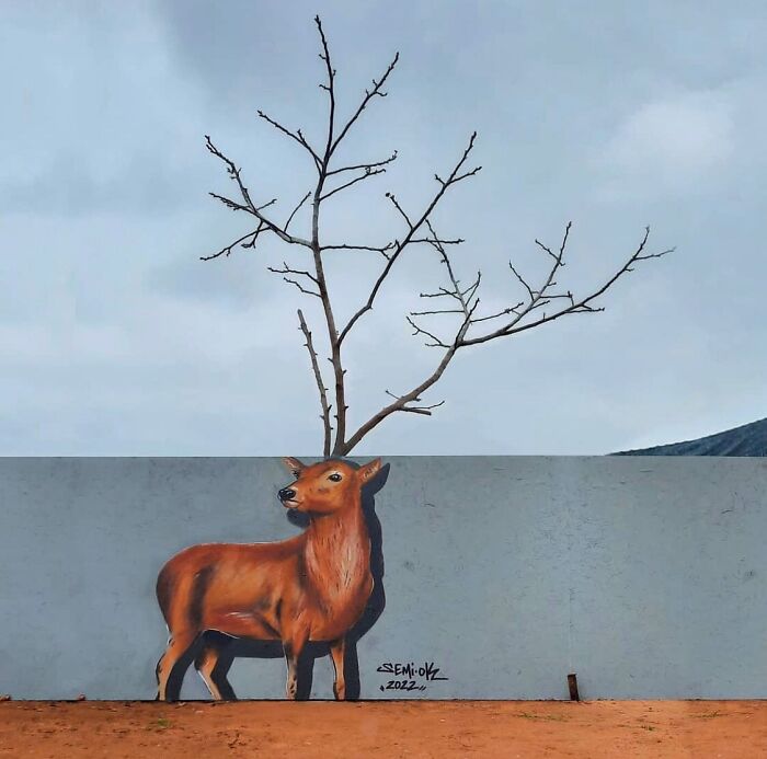 This Page With Nearly 5 Million Followers Shows What Happens When Street Artists Let Nature Finish Their Work (30 Pics)