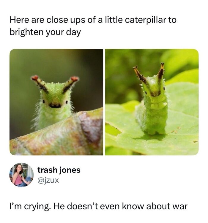 This Instagram Page With 6 Million Followers Perfectly Captures The Absurdity Of Internet Humor (60 Pics)