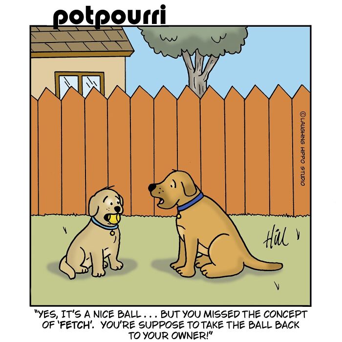 This Artist’s Dog Comics Perfectly Capture The Chaotic Joy Of Having A Pup (40 Pics)
