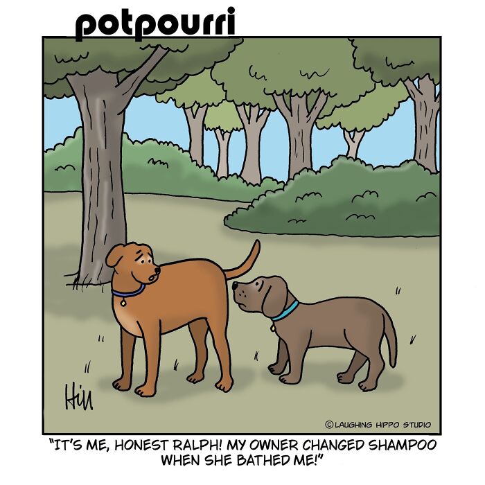 This Artist’s Dog Comics Perfectly Capture The Chaotic Joy Of Having A Pup (40 Pics)