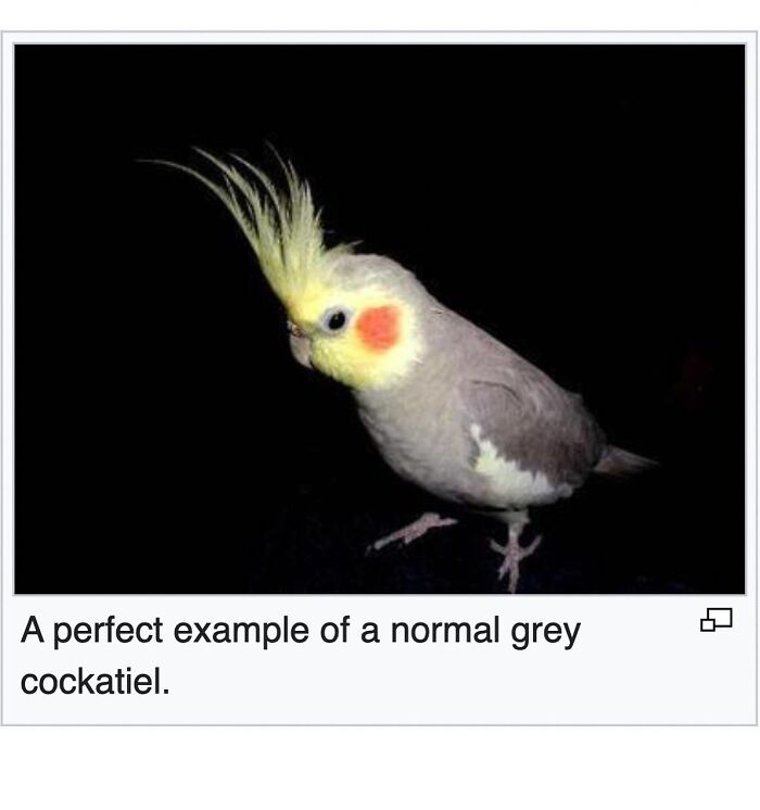 42 Animal Posts From “Depths Of Wikipedia” That Prove Nature Is Stranger Than Fiction