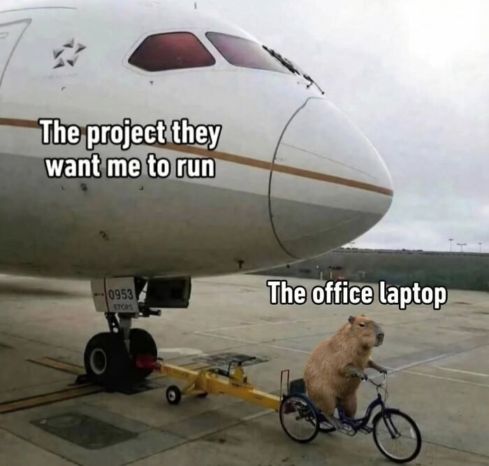40 Funny And Wholesome Capybara Memes That Perfectly Capture The Internet’s Obsession With These Chill Animals