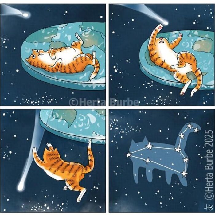 This Lithuanian Artist Turns Cats Into The Stars Of Her Tender Illustrated Stories (50 Pics)