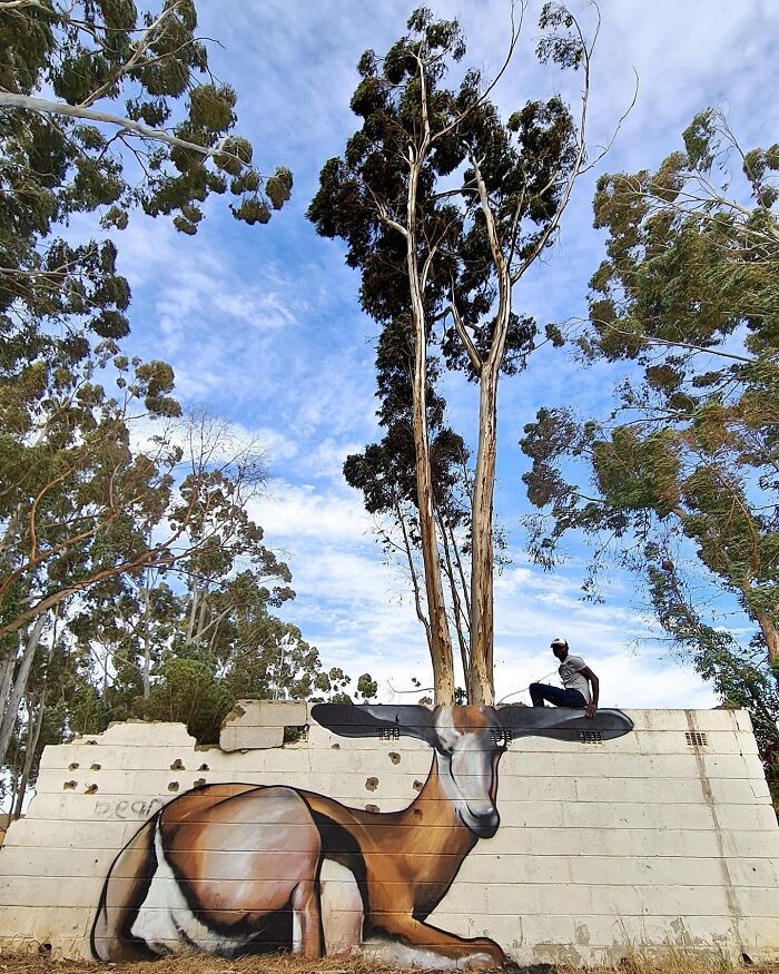 This Page With Nearly 5 Million Followers Shows What Happens When Street Artists Let Nature Finish Their Work (30 Pics)