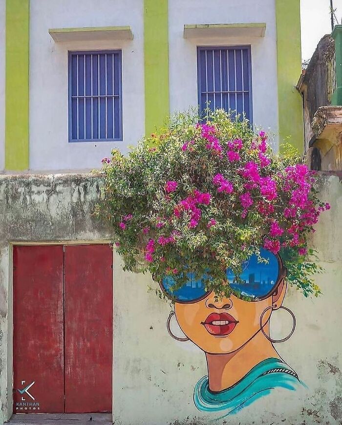 This Page With Nearly 5 Million Followers Shows What Happens When Street Artists Let Nature Finish Their Work (30 Pics)