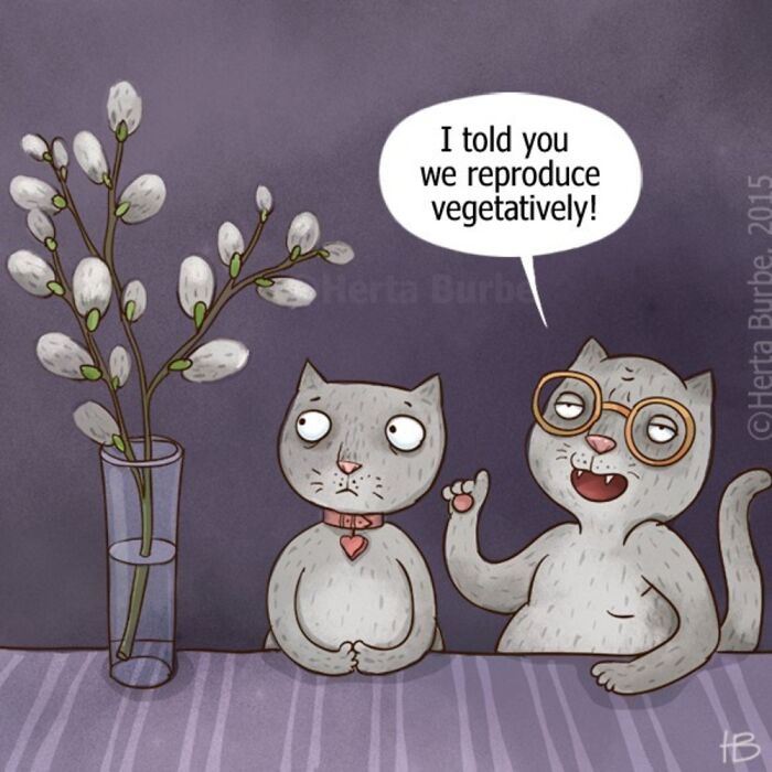This Lithuanian Artist Turns Cats Into The Stars Of Her Tender Illustrated Stories (50 Pics)