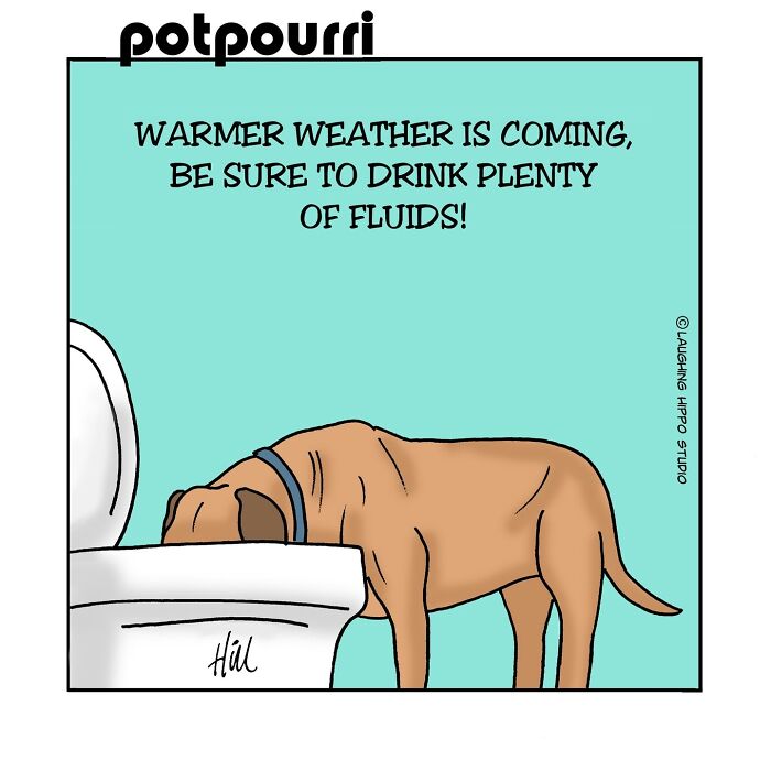 This Artist’s Dog Comics Perfectly Capture The Chaotic Joy Of Having A Pup (40 Pics)
