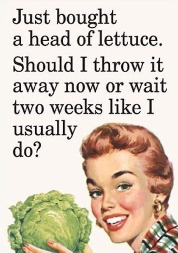 This Instagram Page Proves Vintage Women Would’ve Absolutely Ruled The Internet With Sarcasm (30 Pics)