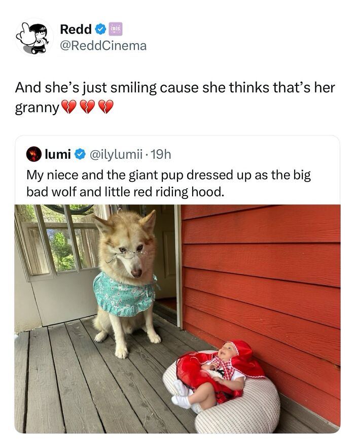 These Dog Memes Perfectly Capture The Chaos, Wholesomeness, And Pure Randomness Of Life With Dogs