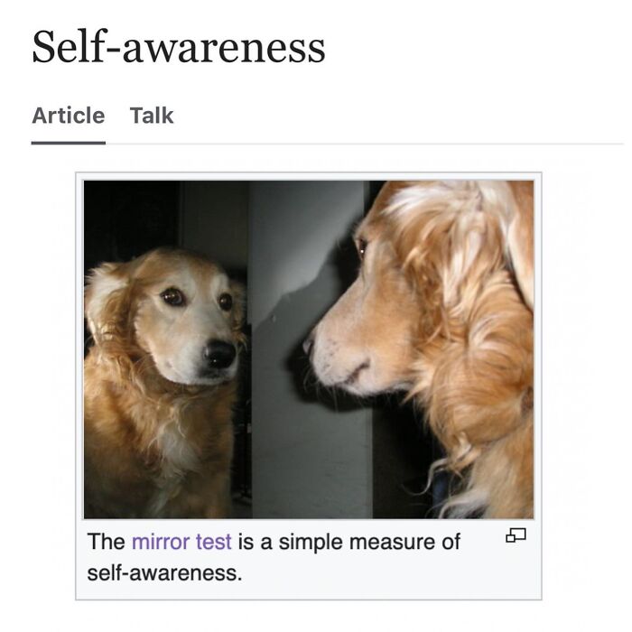 42 Animal Posts From “Depths Of Wikipedia” That Prove Nature Is Stranger Than Fiction