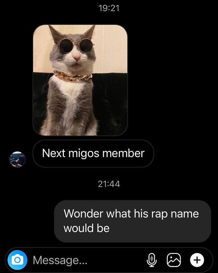 50 Cat Memes That Feel Like They Were Created By Sleep Deprived Internet Geniuses