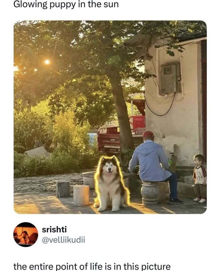 This Instagram Page With 6 Million Followers Perfectly Captures The Absurdity Of Internet Humor (60 Pics)