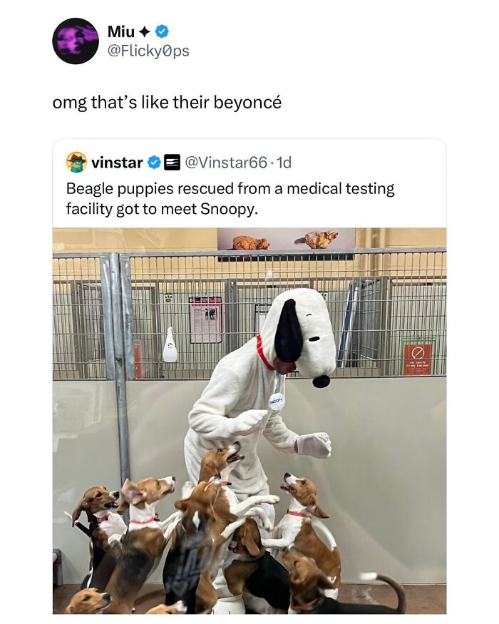 These Dog Memes Perfectly Capture The Chaos, Wholesomeness, And Pure Randomness Of Life With Dogs