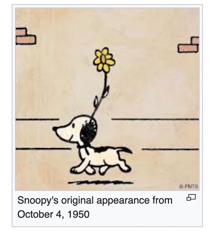 42 Animal Posts From “Depths Of Wikipedia” That Prove Nature Is Stranger Than Fiction