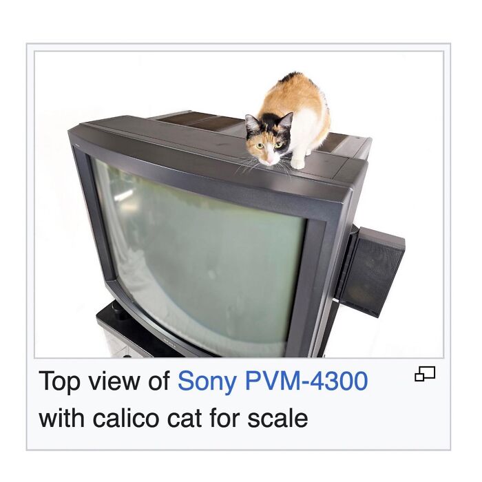 42 Animal Posts From “Depths Of Wikipedia” That Prove Nature Is Stranger Than Fiction