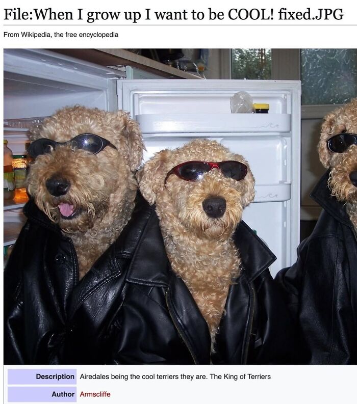 42 Animal Posts From “Depths Of Wikipedia” That Prove Nature Is Stranger Than Fiction