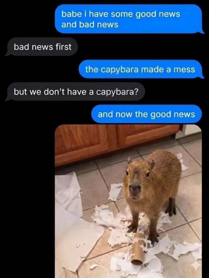 40 Funny And Wholesome Capybara Memes That Perfectly Capture The Internet’s Obsession With These Chill Animals
