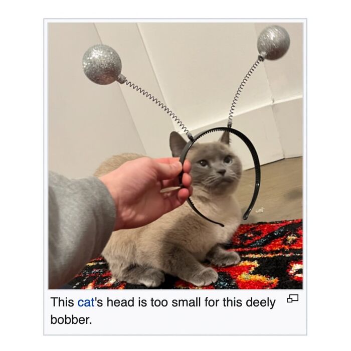 42 Animal Posts From “Depths Of Wikipedia” That Prove Nature Is Stranger Than Fiction